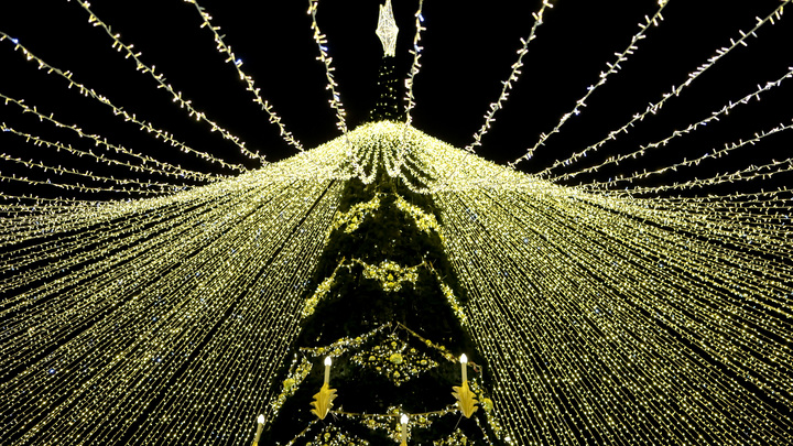 Екатеринбуржцы тестируют новое размещение главной ёлки города