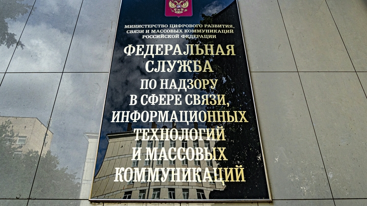 Чайлд-фри, фурри и радфем: пропаганду тлетворных движений предложили уравнять с экстремизмом