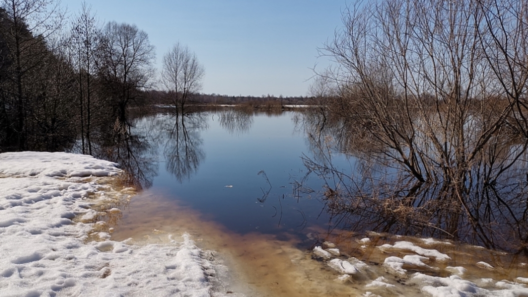 Подъем воды в окрестностях Серпухова сегодня - актуальная информация