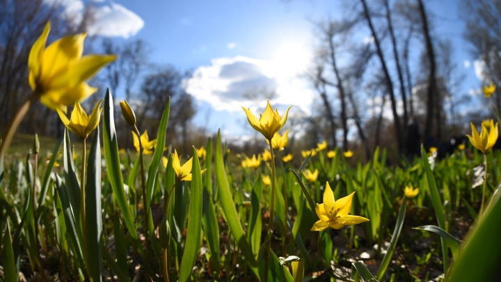 Жителям России рассказали о народных приметах и запретах на 25 апреля