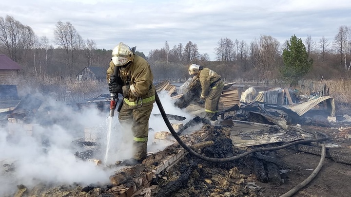 В Нижегородской области огонь прошел 500 га: МЧС рассказали о пале травы