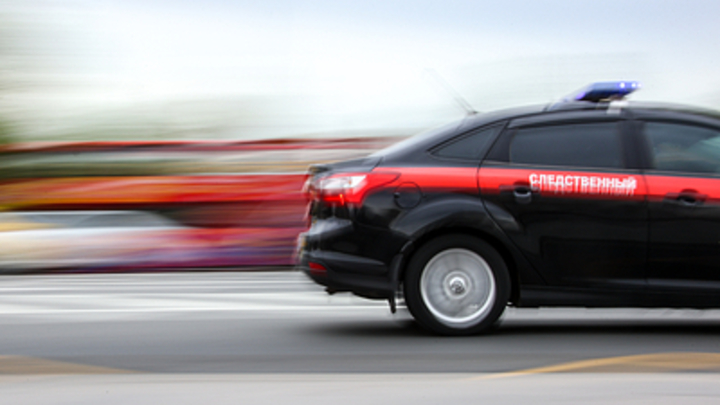 СК проверит канал блогеров из Челябинска, издевающихся над бабушкой с деменцией