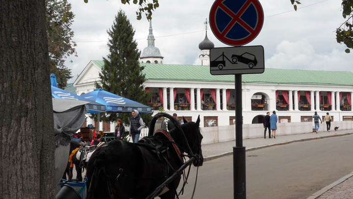 Жители Одинцово попали в Суздале в аварию с участием лошади и полицейского начальника