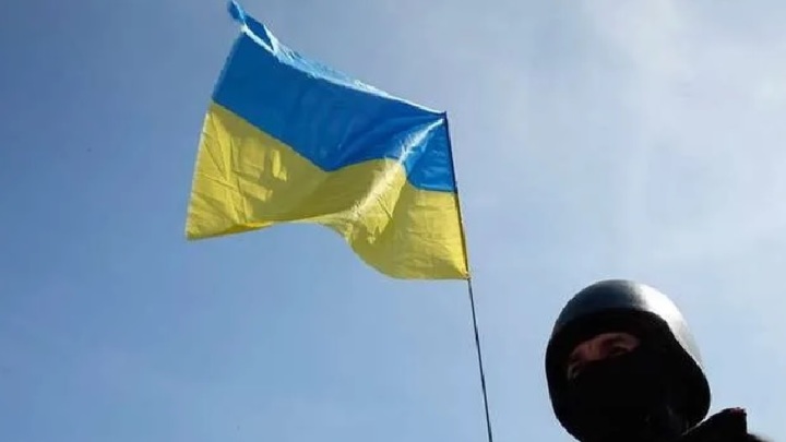 Черновола выбросили в мусорный бак