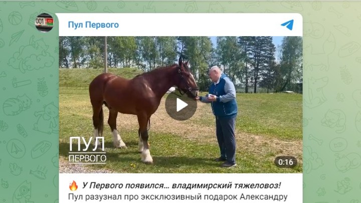 Владимирский губернатор Авдеев подарил президенту Белоруссии Лукашенко владимирского тяжеловоза