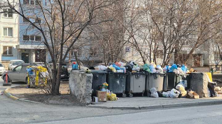 В новосибирском Академгородке убрали контейнеры для раздельного сбора мусора