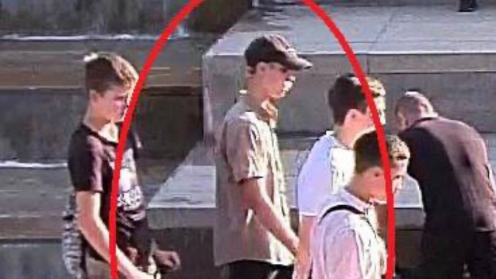 Полиция ищет подростка, который сломал дерево в парке Краснодар