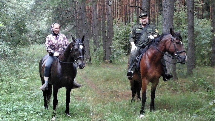 В Подмосковье леса будут охранять конные патрули