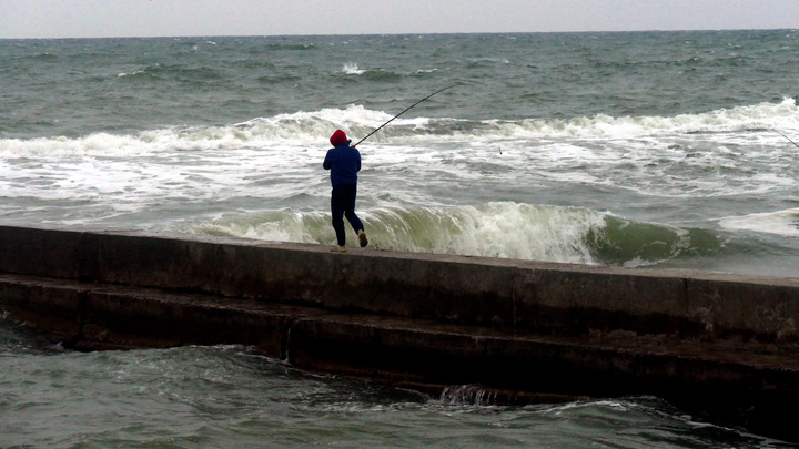 Отправка британского флота в Чёрное море: О чём договорились Шаппс и Зеленский в Киеве