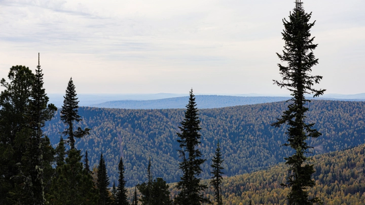 АиФ: Спасатель Киселев объяснил, что Усольцевы могут быть живы АиФ: Спасатель Киселев объяснил, что Усольцевы могут быть живы