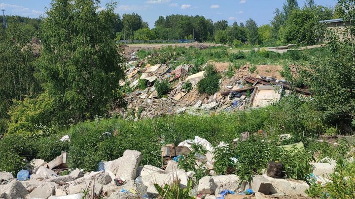 В Александрове обнаружили незаконную свалку на площади 1000 квадратных метров