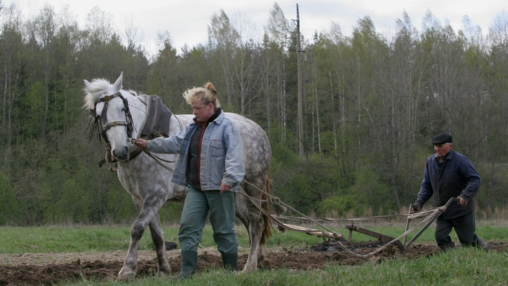 Народные приметы на 14 мая: Еремей запашник, что можно и нельзя делать в этот день