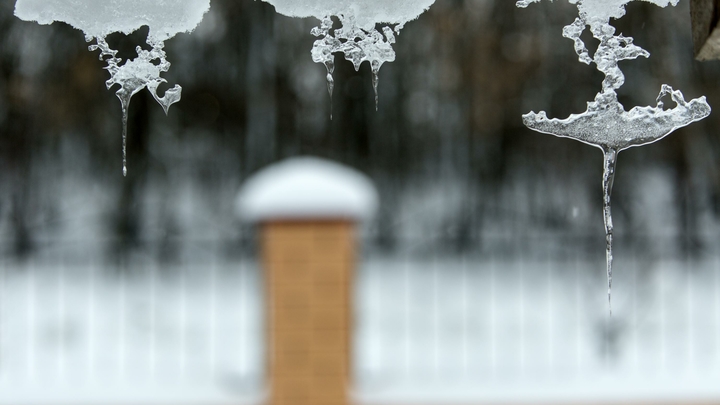 Пора утепляться: Синоптик предупредила москвичей о заморозках до минус 8