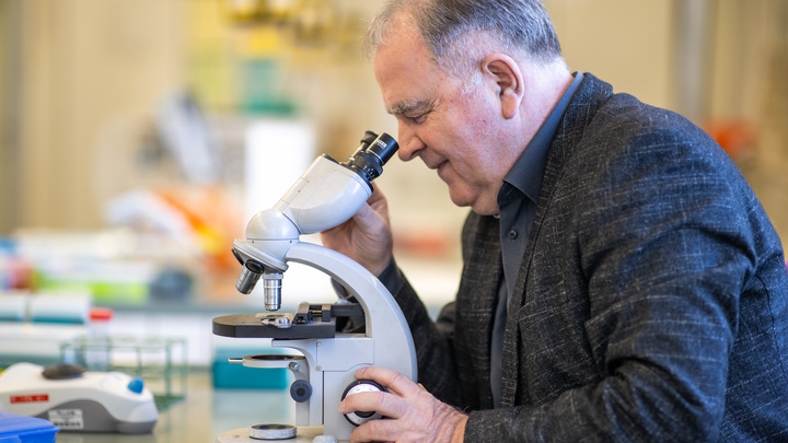 На мраморную капеллу Микеланджело поселили пожирателей грязи