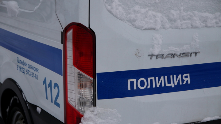 Пропавшую под Новосибирском 81-летнюю пенсионерку нашли погибшей