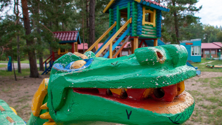 После смерти мальчика в лагеря Нижегородской области нагрянули инспекторы