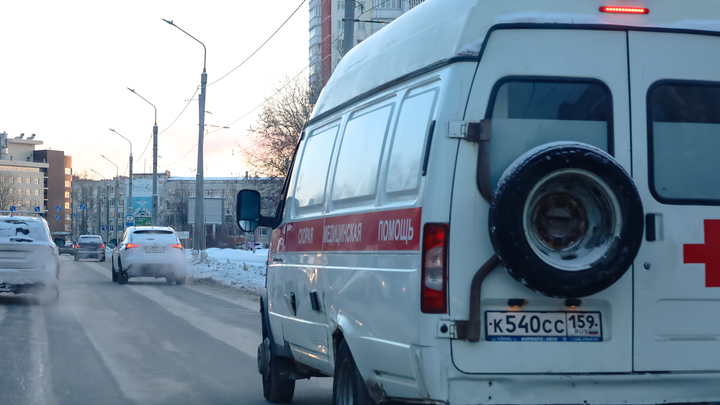 Сильный ветер обрушил дерево на 10-летнюю девочку в Подольске