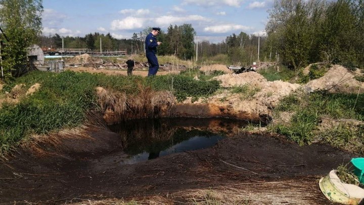 Прокуроры выяснили причину массовой гибели рыбы в озере Киржачского района