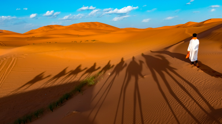 Оперштаб ужесточил правила въезда в Россию: Ограничения для Кении