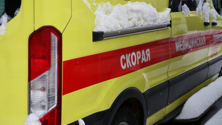 В Ленинградской области 7-летняя девочка попала в больницу, врезавшись в столб на тюбинге