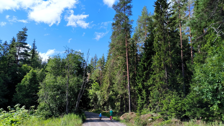 Названы самые опасные места для дачников в этом сезоне