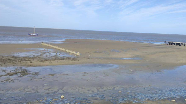 В Приморско-Ахтарске море обмелело из-за мощных потоков ветра