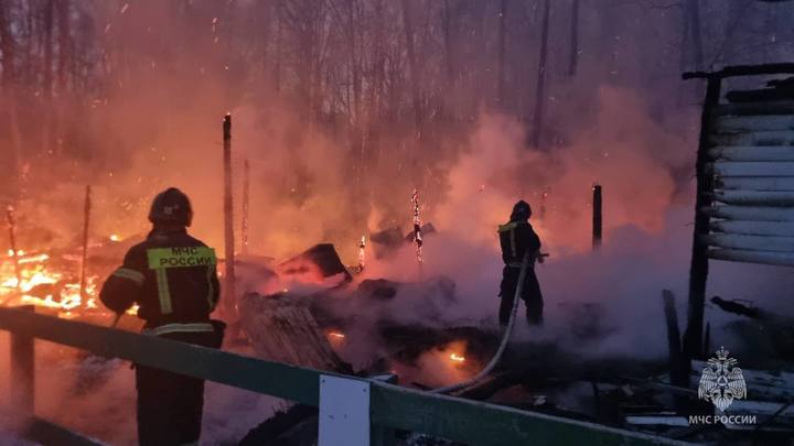 Восемь лошадей погибли в пожаре на территории парка «Лосиный остров» в Москве