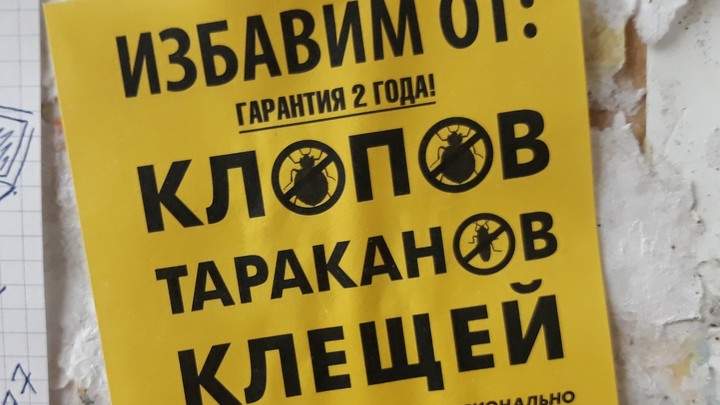 Травили тараканов и чуть не отравили детей: ученикам школы в Новосибирске стало плохо