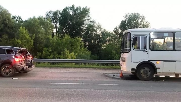 Утки спровоцировали ДТП с пятью пострадавшими в Новосибирской области