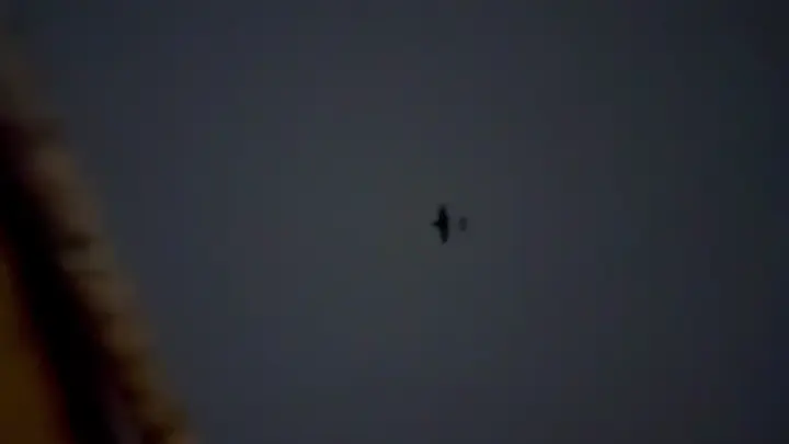 Атака дронов на Саратовскую область: взрывы в Саратове и Энгельсе, кадры