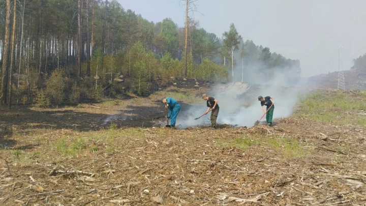 В Забайкалье двух подростков осудят за поджог леса по приказу куратора с Украины