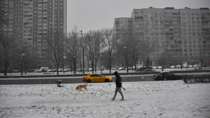 Начало новой недели в Петербурге будет снежным и ветреным
