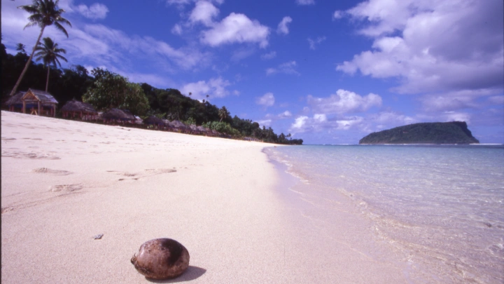На Канарских островах нашли рыбу Судного дня. Почему её считают предвестником катастроф