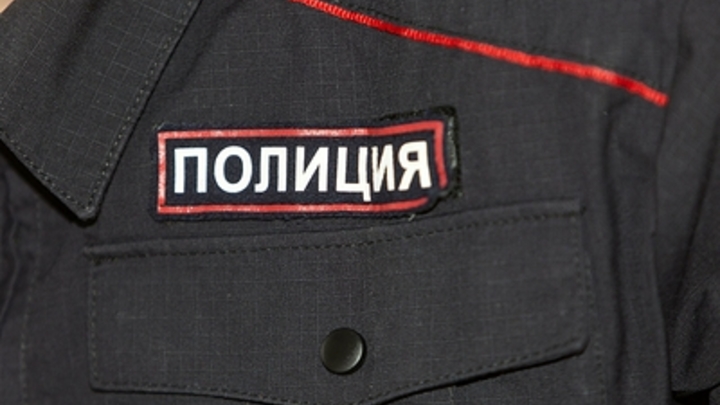 В Челябинской области полиция разыскивает покупателя 11-летней девочки