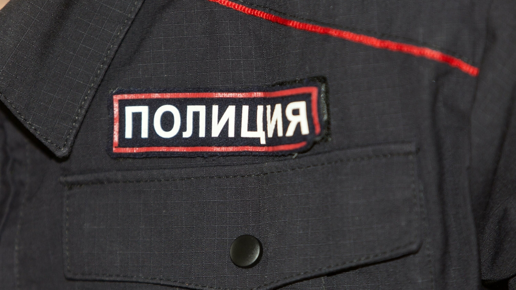 В столице РФ во время акции у Минкомсвязи схвачен ребенок