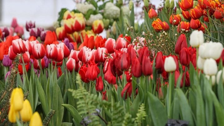 В начале мая будет только три рабочих дня: Жителям России напомнили даты длинных выходных
