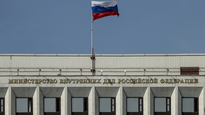 Пресечение оборота наркотиков: В МВД раскрыли секрет