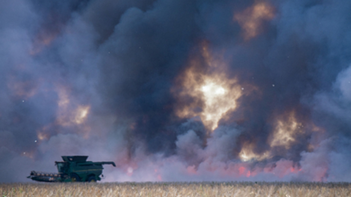 ВСУ целенаправленно поджигают поля с пшеницей на Запорожье