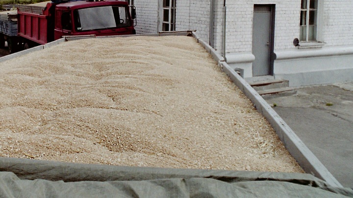 Зеленский после зернового запрета стран-соседей выдал угрозу