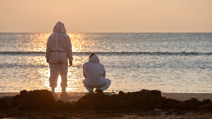 Мазут на Чёрном море к лету не уберут. Куда ехать? Министра поправил вице-президент Альянса турагентств