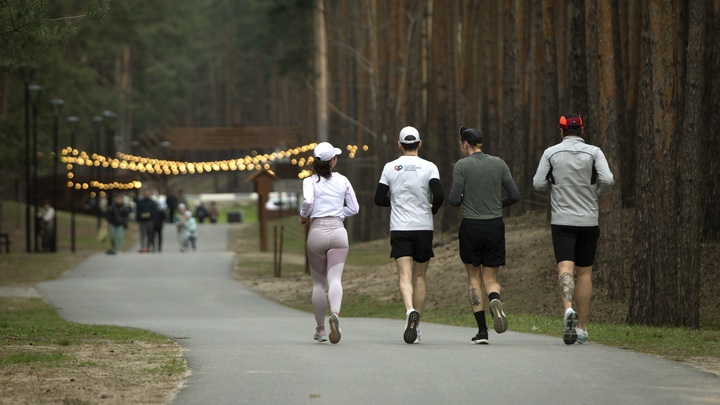 Идеальное занятие для майских праздников: японец посоветовал не откладывать