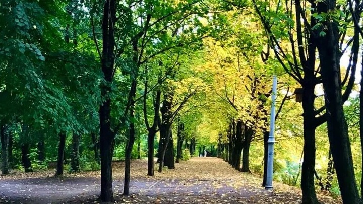 На Кубани 1 сентября будет жарко, как летом – до +37°