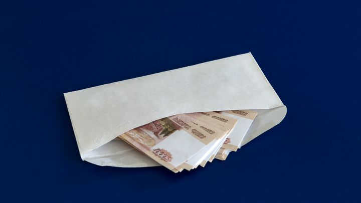 Лишить доходов и точка. Как действительно заставить депутатов работать на народ