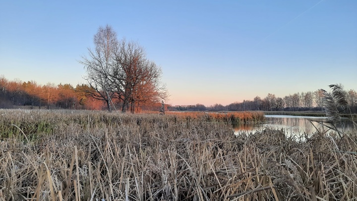 Народный календарь на 23 декабря: что можно и нельзя делать в день Мины Красноречивого