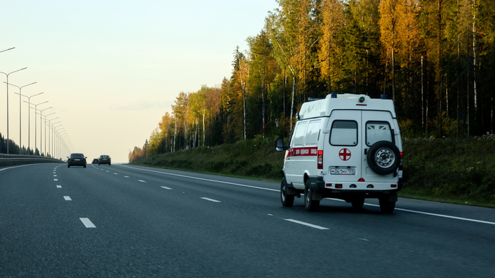 Автобус насмерть сбил мужчину на улице Петухова в Новосибирске