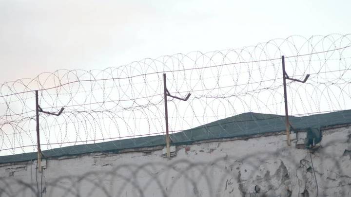 Суд продлил арест бывшему замглавы Минсельхоза Кубани по делу о взяточничестве