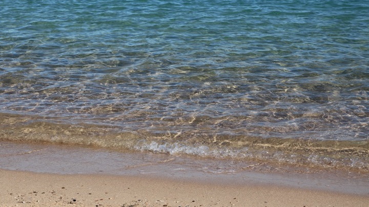 На пляжах Обского моря не рекомендуют купаться из-за плохого качества воды