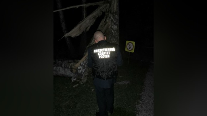 Следком Кузбасса начал проверку после падения дерева на мужчину с ребенком