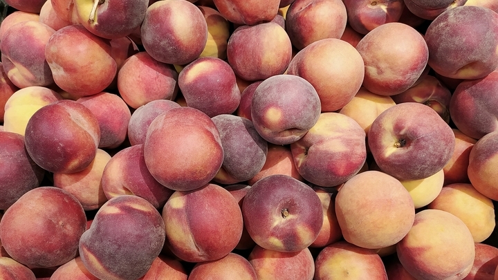 Более 15 тонн зараженных персиков задержали в порту Новороссийска