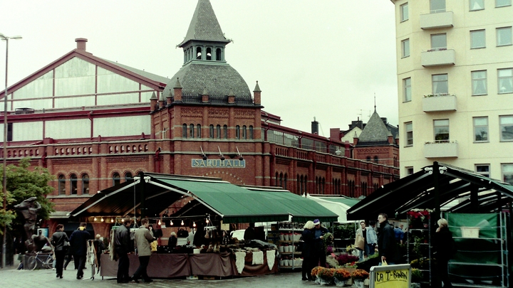 Лидер Шведских демократов рассказал, кого будут лишать гражданства